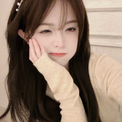 光荣之路上的狗